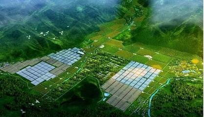 現(xiàn)代農(nóng)業(yè)產(chǎn)業(yè)園開發(fā)模式及五大運營模式!