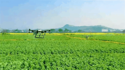 農(nóng)業(yè)科學(xué)推動農(nóng)業(yè)開發(fā)的創(chuàng)新與可持續(xù)發(fā)展