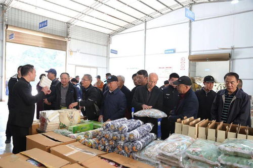 喜迎重陽 農(nóng)業(yè)開發(fā)中的安康中院老前輩佳節(jié)紀(jì)念