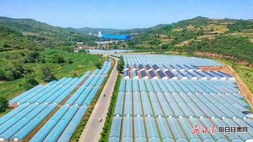 現代農業蓬勃發展 崇信打造全產業鏈蔬菜產業示范區