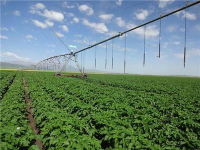 有機(jī)農(nóng)業(yè)種植技術(shù)在中國的發(fā)展與應(yīng)用——以貴州輝煌農(nóng)業(yè)開發(fā)為例