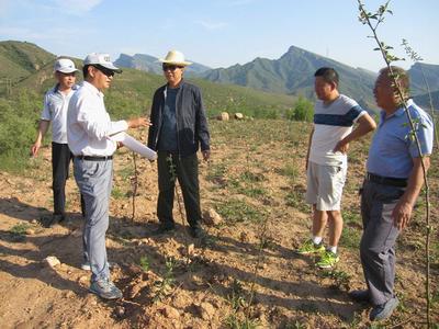 河北井陘開展農(nóng)業(yè)專項(xiàng)資金審計(jì)，助力農(nóng)業(yè)開發(fā)提質(zhì)增效