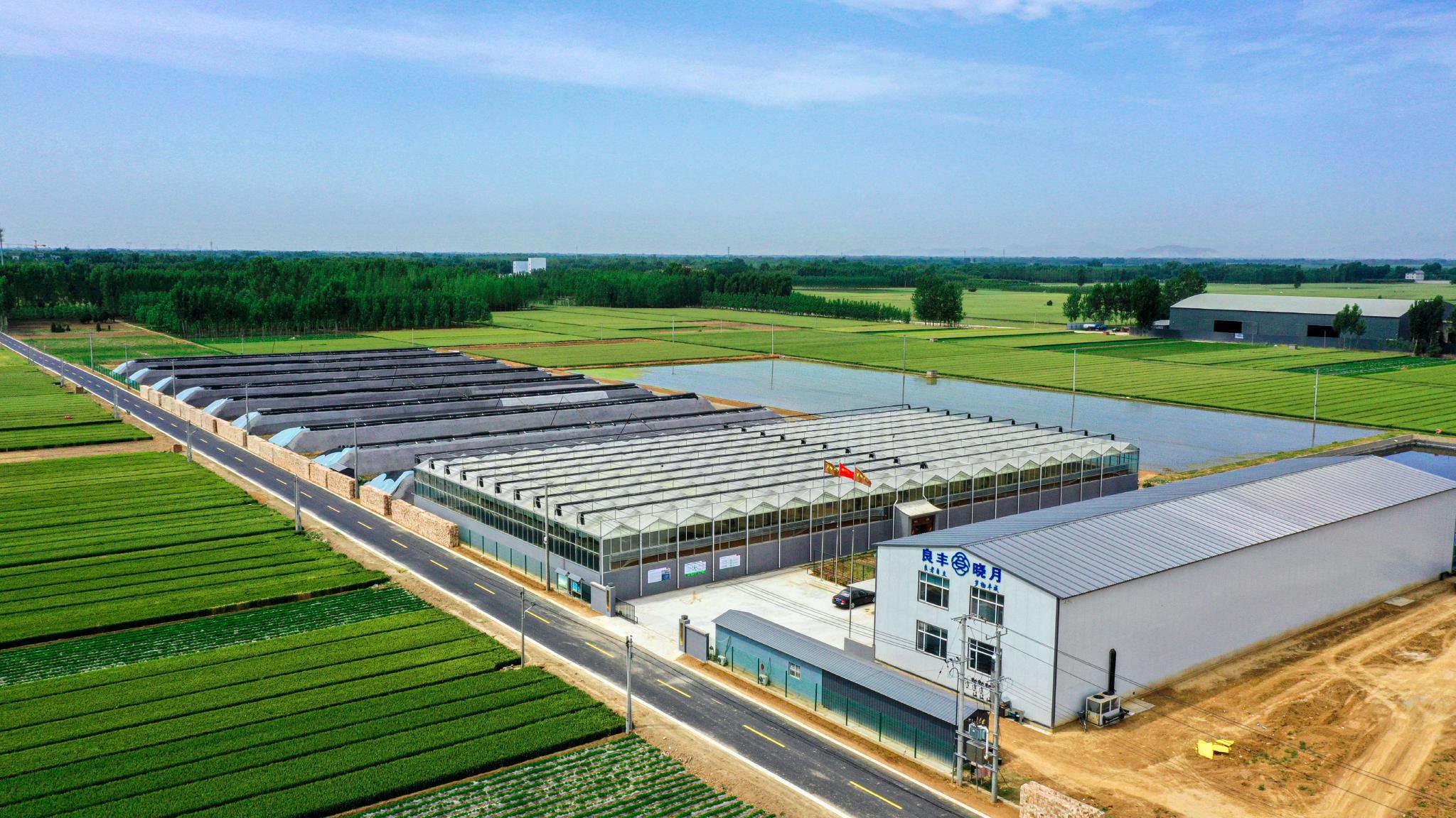 點(diǎn)‘綠’成金 跨界種養(yǎng)繪就農(nóng)業(yè)開發(fā)新豐景