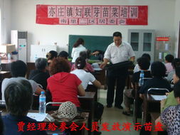 從陽(yáng)臺(tái)到餐桌 有機(jī)芽苗菜的家庭種植與養(yǎng)生之道