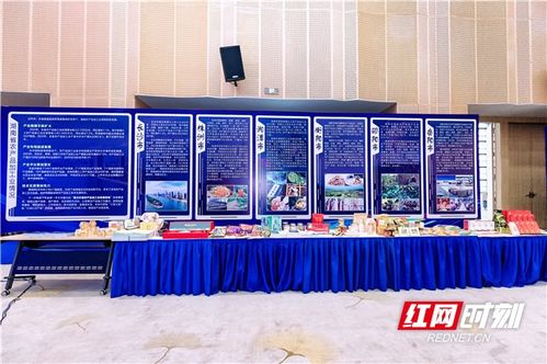 農(nóng)博現(xiàn)場(chǎng)丨簽約金額超45億，湖南農(nóng)業(yè)招商引資對(duì)接會(huì)助力中部農(nóng)產(chǎn)品加工業(yè)發(fā)展