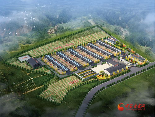 涇川加快培育新質(zhì)生產(chǎn)力，激活農(nóng)業(yè)產(chǎn)業(yè)發(fā)展新動(dòng)能